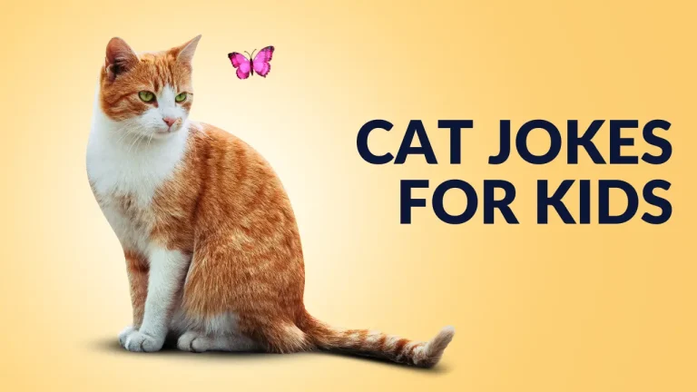 Cat Jokes for Kids