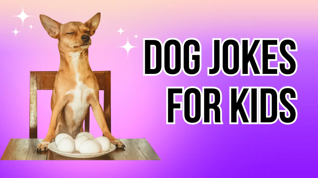 Dog Jokes for Kids